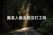 属龙人能去武汉打工吗