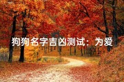 狗狗名字吉凶测试：为爱宠挑选吉祥好名