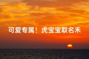 可爱专属！虎宝宝取名禾生动呼之欲出