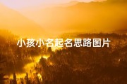 小孩小名起名思路图片