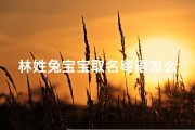 林姓兔宝宝取名粤语怎么取_《林姓兔宝宝粤语取名技巧揭秘》