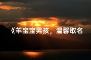 《羊宝宝男孩，温馨取名新主张》