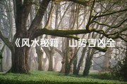 《风水秘籍：山势吉凶全解析视频教程》