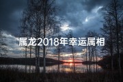 属龙2018年幸运属相(2018属龙幸运属相揭秘：运势大爆发)
