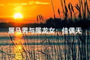 属马男与属龙女：佳偶天成，幸福相伴