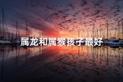 属龙和属猴孩子最好