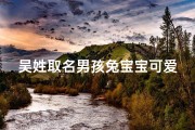 吴姓取名男孩兔宝宝可爱萌萌哒！