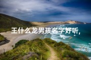 王什么龙男孩名字好听,王姓龙宝宝：喜庆吉祥，龙腾盛世之名