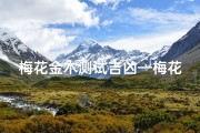 梅花金木测试吉凶—梅花金木测试吉凶：揭秘命运吉凶之谜