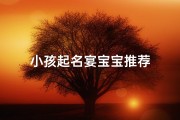 小孩起名宴宝宝推荐