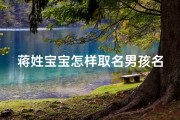 蒋姓宝宝怎样取名男孩名字