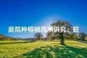 庭院种榕树风水讲究：旺家添福之道