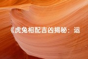 《虎兔相配吉凶揭秘：运势详析》