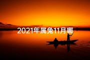 2021年属兔11月哪天提车好;属兔11月购车吉日精选：黄道吉日助你选好车