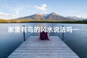 家里有鸟的风水说法吗—家有鸟儿旺风水，好运连连福满堂