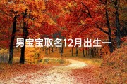 男宝宝取名12月出生—男宝宝取名12月出生的名字