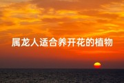 属龙人适合养开花的植物吗-属龙人适合养开花的植物吗女生