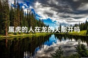 属虎的人在龙的天能开吗,属虎逢龙天能开，运势亨通福满门