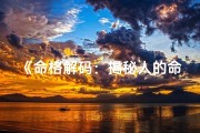 《命格解码：揭秘人的命运层次》