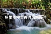 屋里能种藿香吗风水好吗(屋里种藿香风水吉？适宜家居的植物选择)