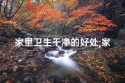 家里卫生干净的好处;家居卫生与风水：干净环境好风水之谜
