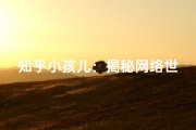 知乎小孩儿：揭秘网络世界中的成长故事