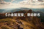《小金鼠宝宝，萌动新名诞生记》