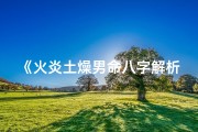 《火炎土燥男命八字解析：五行平衡之道》