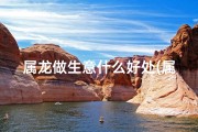 属龙做生意什么好处(属龙人做生意，财运亨通多机遇)