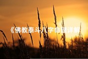 《佛教泰斗八字命理详解大全：揭秘命运奥秘》