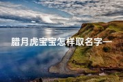腊月虎宝宝怎样取名字—腊月虎宝宝取名：寓意吉祥的精选好名字