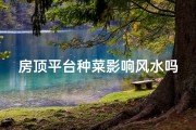 房顶平台种菜影响风水吗,房顶平台种菜，风水影响知多少？