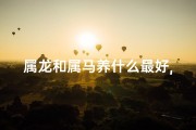 属龙和属马养什么最好,属龙和属马养什么最好呢