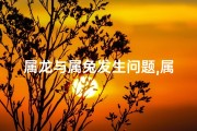 属龙与属兔发生问题,属龙与属兔相处怎么样