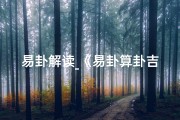 易卦解读_《易卦算卦吉凶揭秘：解读命运之秘》