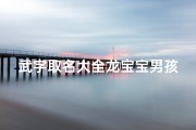 武字取名大全龙宝宝男孩、武字取名大全龙宝宝男孩名字