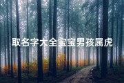 取名字大全宝宝男孩属虎(200个吉祥的男孩名字大全,属虎男宝宝的名字大全)