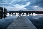 掌纹了解_《掌纹揭秘：吉凶分析图解视频教程》