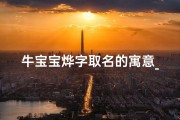 牛宝宝烨字取名的寓意_《兔宝宝烨字男孩：温馨育儿故事集》