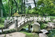 《八字揭秘：炒股发大财的神奇命理密码》