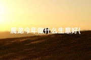 属龙今年做什么生意好(属龙2024：抓住商机，这些生意正当时)