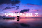 《梦境大龟预示吉凶：女性运势揭秘》
