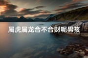 属虎属龙合不合财呢男孩名字(属虎属龙男孩合不合财？财运揭秘)