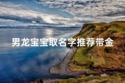 男龙宝宝取名字推荐带金-属龙人起名字宜用金字