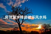 房顶漏水掉皮破坏风水吗(房顶漏水掉皮破坏风水吗视频)