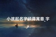 小孩起名宇硕得寓意_宇硕这个名字的寓意