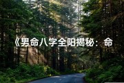 《男命八字全阳揭秘：命运之谜》
