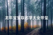 龙年宝宝取名字大全带玺(2025年龙年宝宝取名最佳用字)