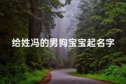 给姓冯的男狗宝宝起名字—超霸气姓冯的男孩名字