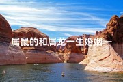 属鼠的和属龙一生婚姻—属鼠的和属龙一生婚姻好吗